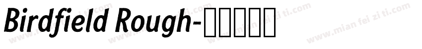 Birdfield Rough字体转换